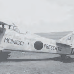 ¡Subteniente Monico Presente! , derribado sobre Talavera de la Reina. 31/08/1936