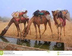 III Ciclo AEME/21: Los pozos en el desierto del Sahara