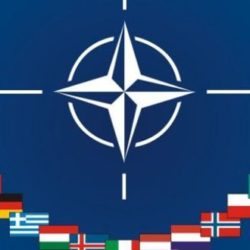 AEME. PAA 2S/21.   EN TORNO AL FUTURO DE LA OTAN