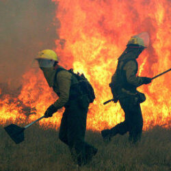 Los odiosos e inaceptables incendios forestales de cualquier verano.                  CN,r   Fernandez Diz