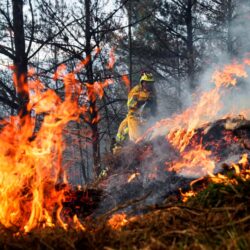 Contribución de las Fuerzas Armadas a la “Resiliencia Nacional”.                                Coronel Diaz Balmori