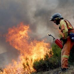 Perentoria necesidad de cambiar la consideración y el tratamiento de los incendios forestales. CN Fernandez Diz