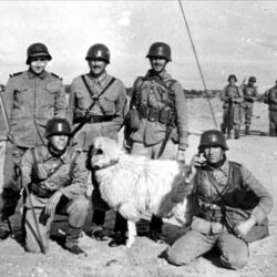 LAS EXCURSIONES SAHARIANAS DE LA TROPA.                                               Capitán de I.M.  Gonzalez del Piñal